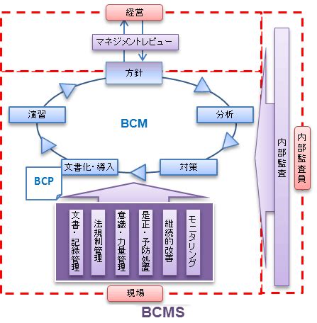 bcplms|bcp.